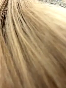 kira_mia live sex cam