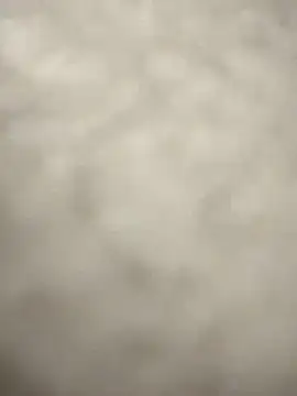 Curvy_Pounder's cam snapshot