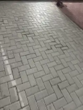 nice686@xh live sex cam