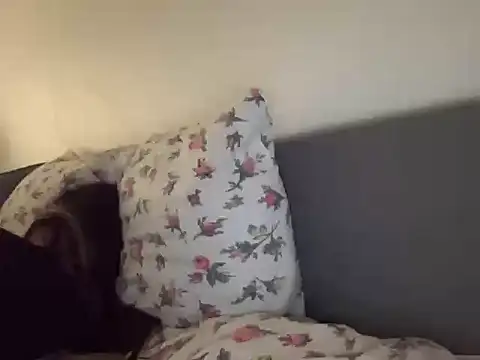 Darivelli's cam snapshot