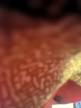 Jan_643's cam snapshot