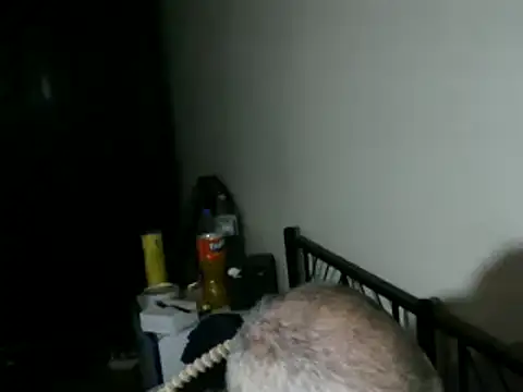 100Tauros's cam snapshot