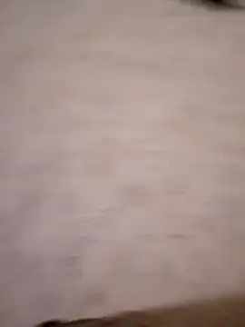 MeryLive59011's cam snapshot