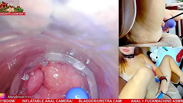 MaryBrook1 live sex cam