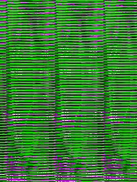 MaryLunne's cam snapshot