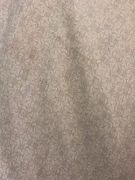 josueswvillaA1's cam snapshot