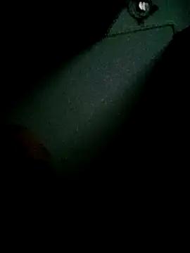 PaarEmsland's cam snapshot