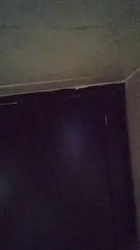 TuFlapito's cam snapshot