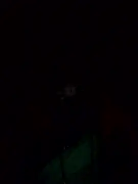 Laxmi9090's cam snapshot