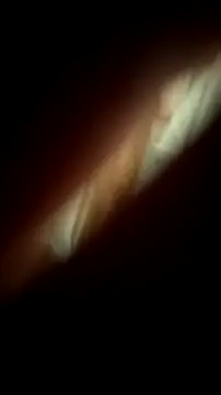 Nick-Ox's cam snapshot