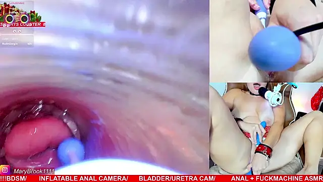 MaryBrook1 live sex cam