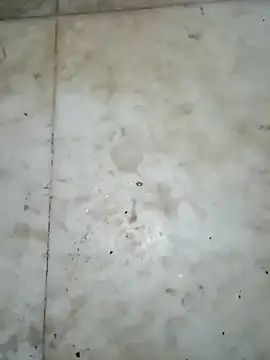 Raj41's cam snapshot