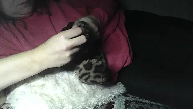 Alma_Evelynne's cam snapshot