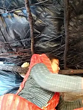 Ranjna_bhabi's cam snapshot