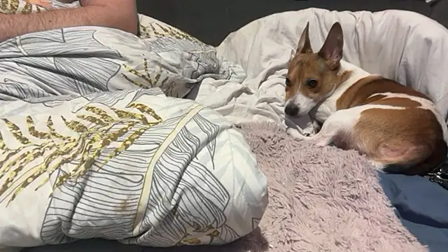 houy111111's cam snapshot