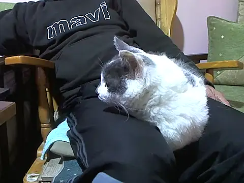 zormen355's cam snapshot