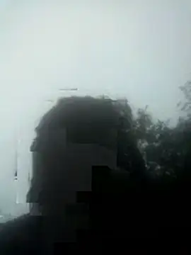 parmila203's cam snapshot