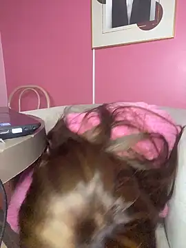 petite_tatis's cam snapshot