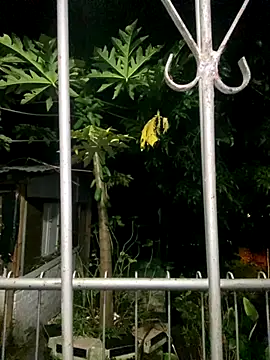 Jestebandiaz07 live sex cam