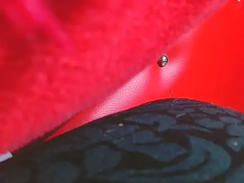 YuliFox's cam snapshot