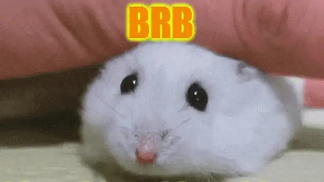 Lolly_Fly's cam snapshot