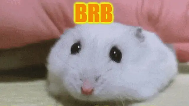 Lolly_Fly's cam snapshot