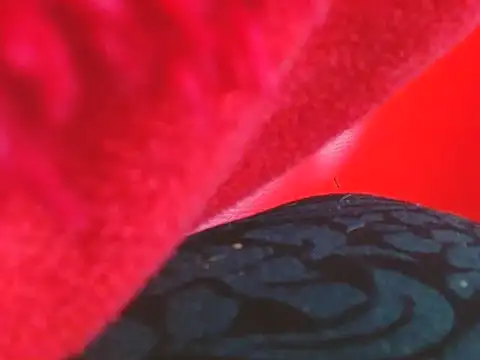 YuliFox's cam snapshot