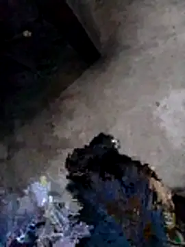 eva-cook's cam snapshot