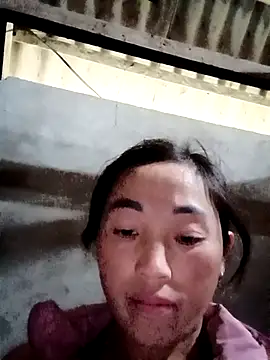 seacyre's cam snapshot