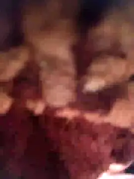 Squirrel-Pear's cam snapshot