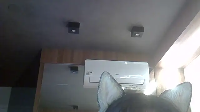 SkinnyKitten live sex cam