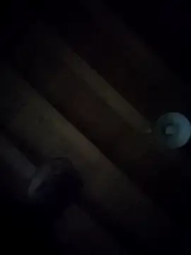 woww791 live sex cam