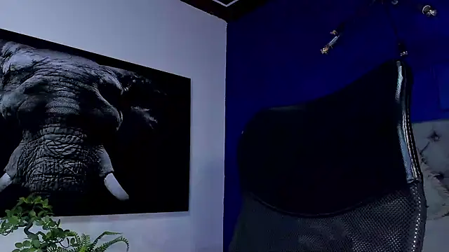 king_falconer live sex cam