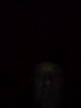 Wildgrace74's cam snapshot