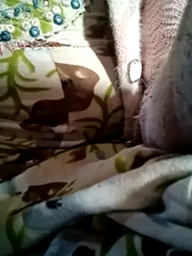 CUTGIRL76's cam snapshot