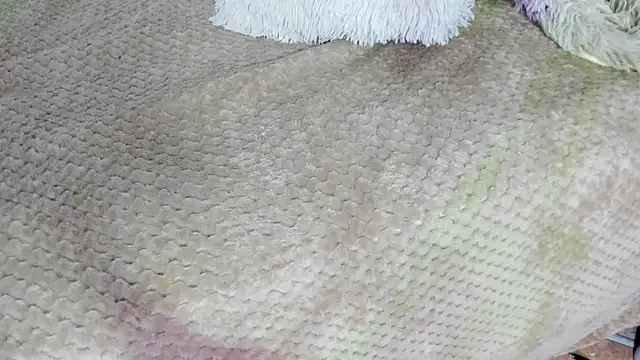 Amelie_Lane's cam snapshot