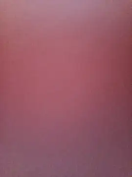 Mei_and_Gaby live sex cam