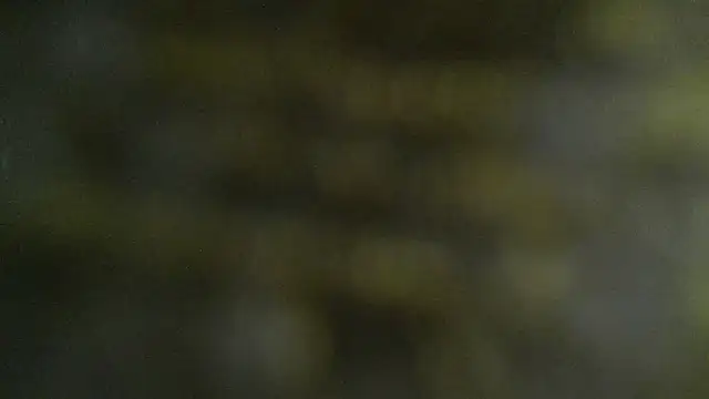 Mariana_Rojas's cam snapshot