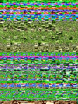 papibbc6989 live sex cam