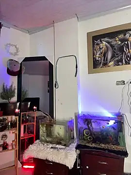 CRAZY-BOY99 live sex cam