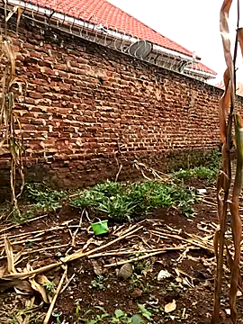 DOJAPATIENCE8's cam snapshot