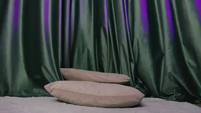 RavenFoxxy's cam snapshot