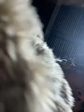 Nika--Nika's cam snapshot