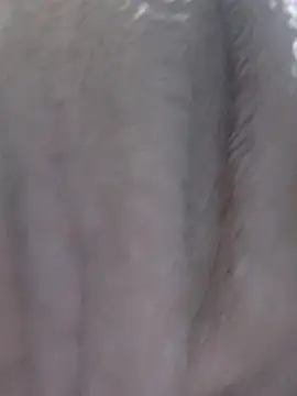 Eva-Meoo's cam snapshot