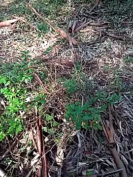 i_fatme's cam snapshot