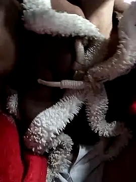 -mayman99's cam snapshot