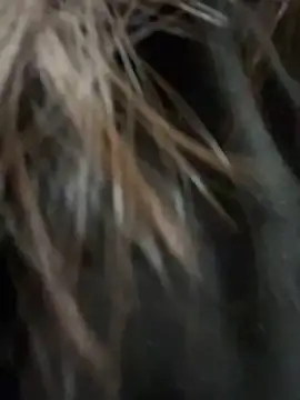 Molly-xiao live sex cam