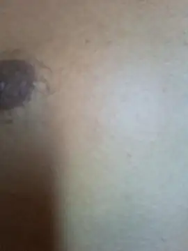 maridao_020 live sex cam