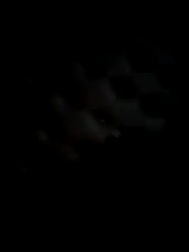 curvedicbandit6_2 live sex cam