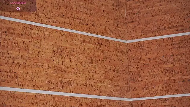 OnaZiroge's cam snapshot